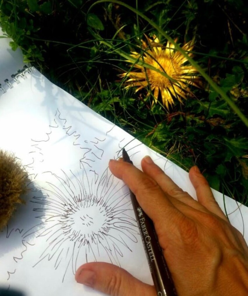 Esbós al natural: l’inici del procés creatiu