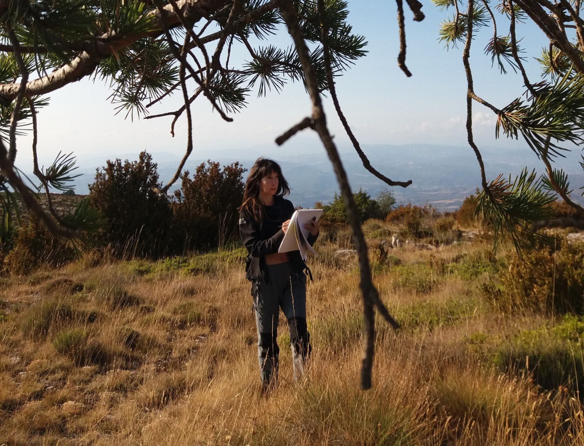 Caminada Guiada - Caminada creativa amb Lourdes Doñate