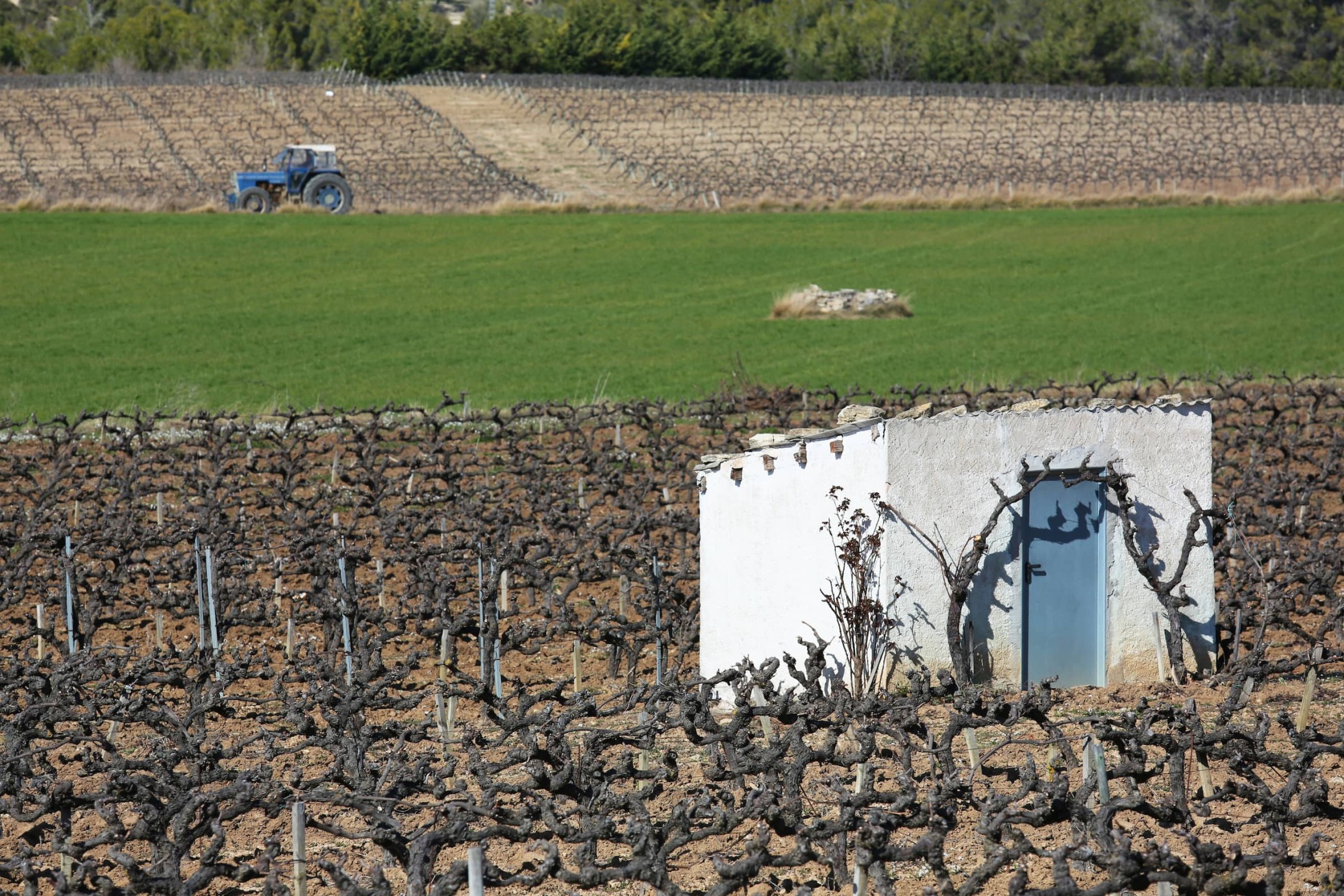 Torrebusqueta La Llacuna0004